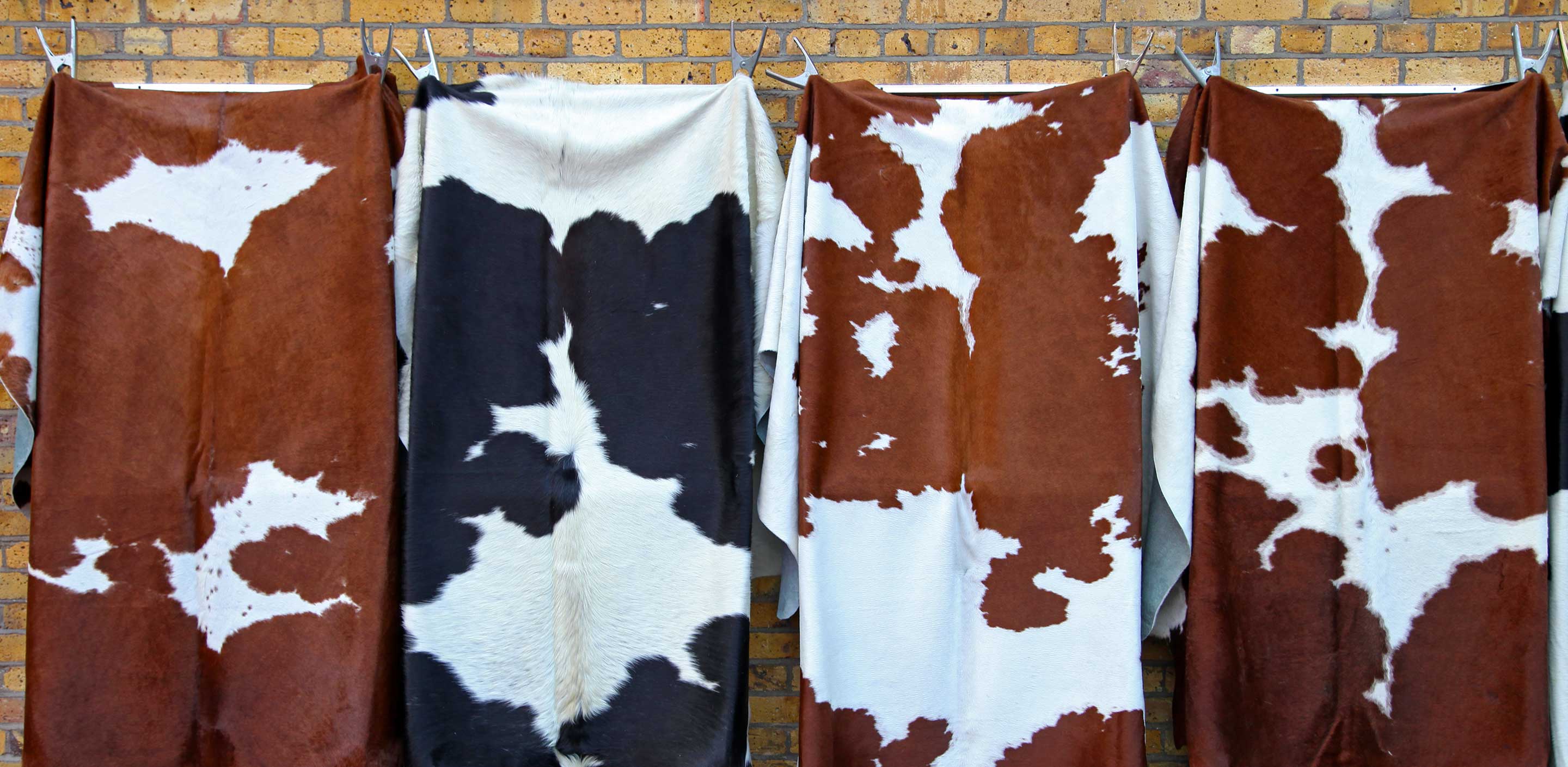What Is Cowhide Leather? | Leather Jacket Shop